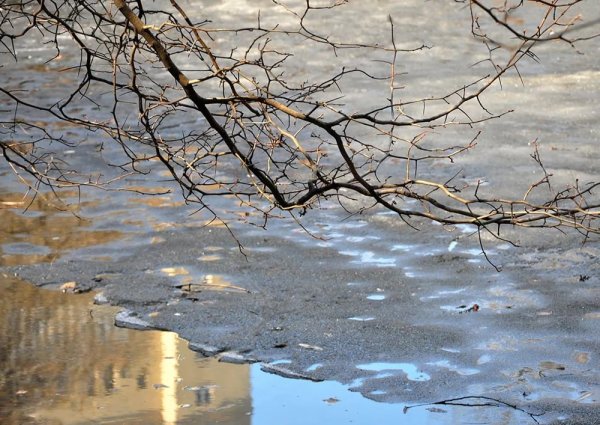 Ранняя Весна дождь