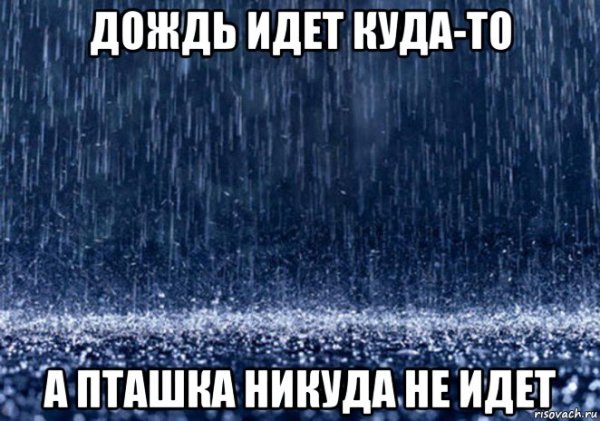 А дождь идет, а дождь идет