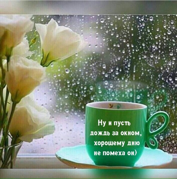 Доброе дождливое у то РО