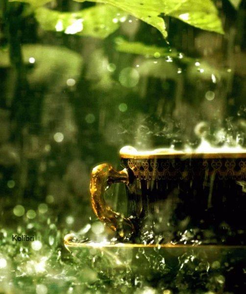 Доброе утро дождь