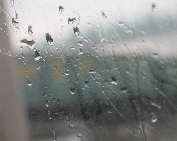 Вид из окна дождь