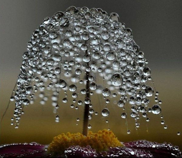 Капли воды