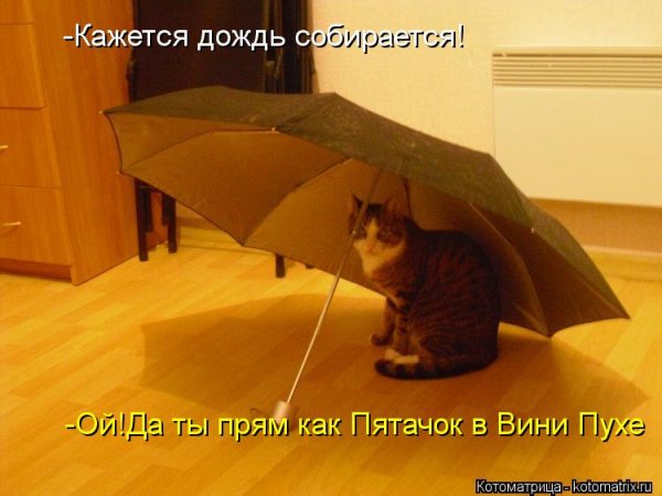 Кажется дождь начинается
