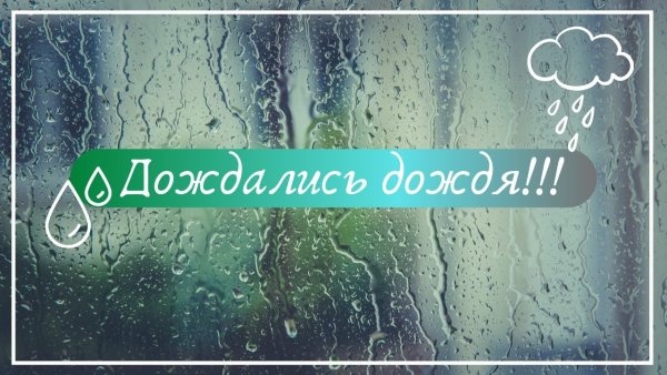 Долгожданный дождь