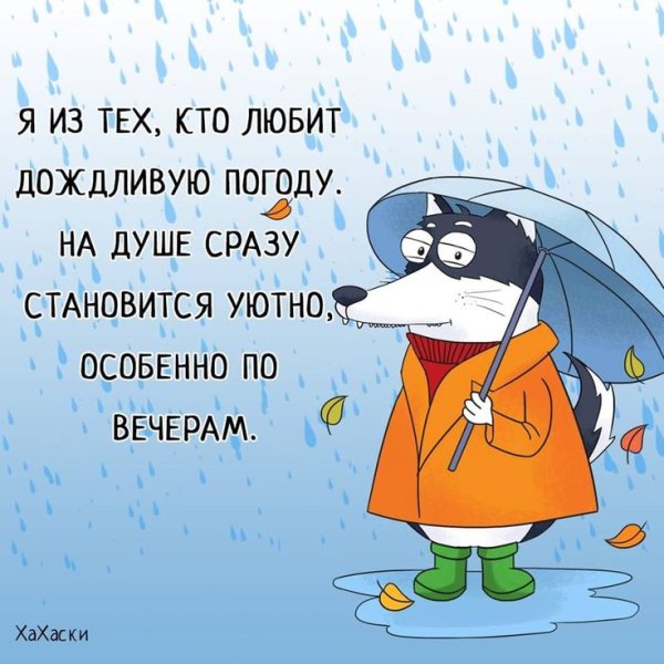 Смешные высказывания про дождь