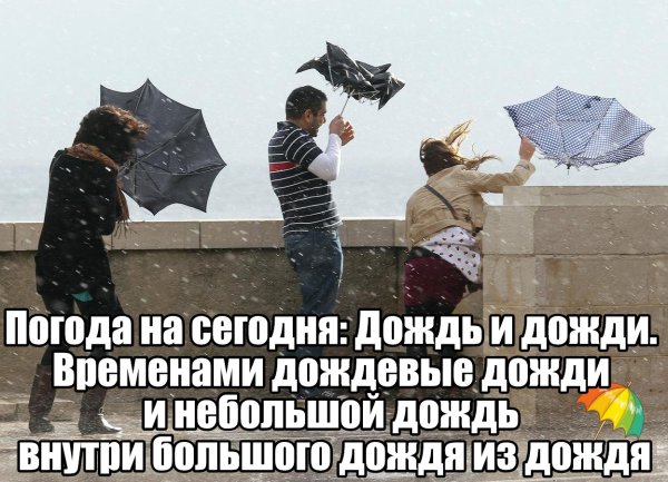 Анекдот про дождь