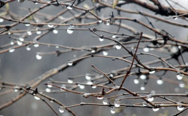 Дождь весной