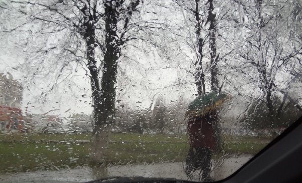 Дождь ранней весной