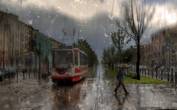 Летний дождь в городе