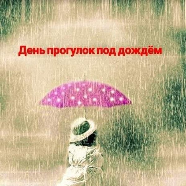 День прогулок под дождем