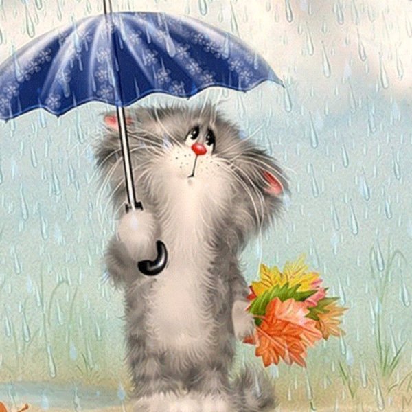 Котик под зонтом