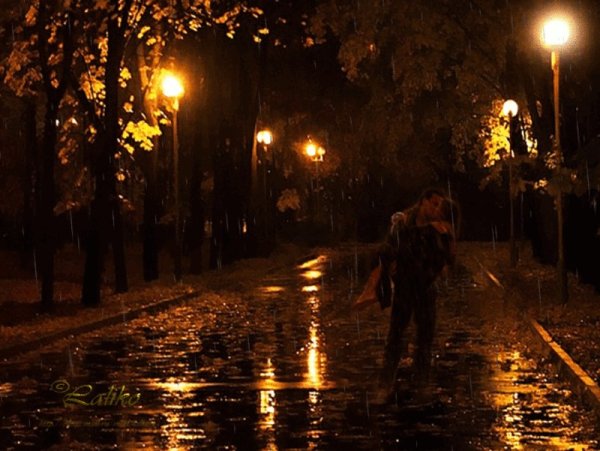 Осень ночь дождь