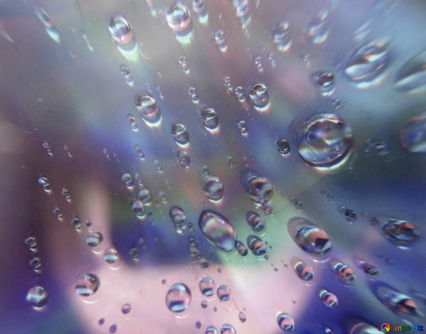 Капельки воды на стекле