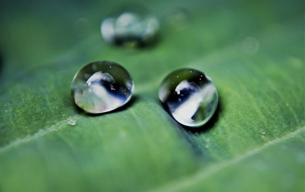 Две капли воды
