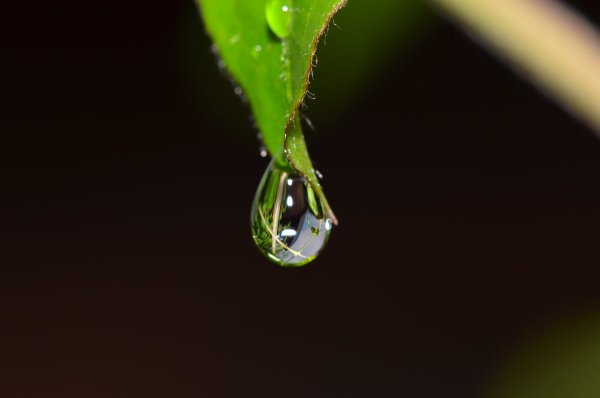 Капля воды