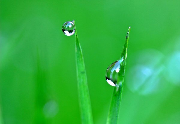 Капли воды