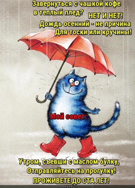 С добрым дождливым утром прикольные