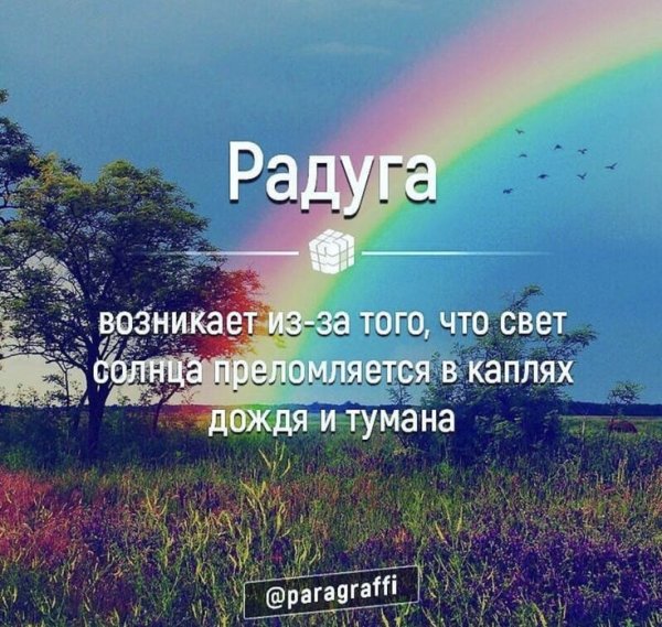 Цитаты про радугу