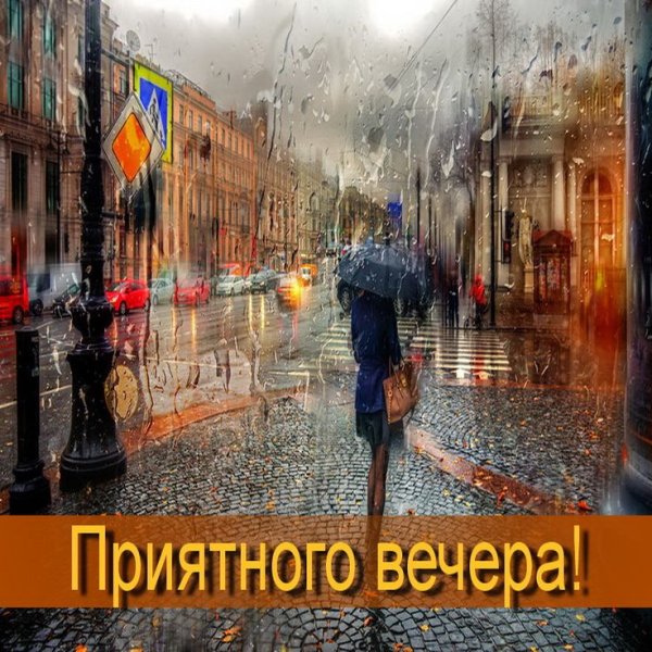 Добрый дождливый вечер