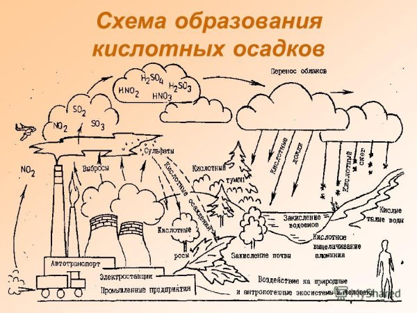 Кислотные дожди схема их образования