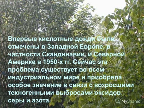Кислотные дожди презентация