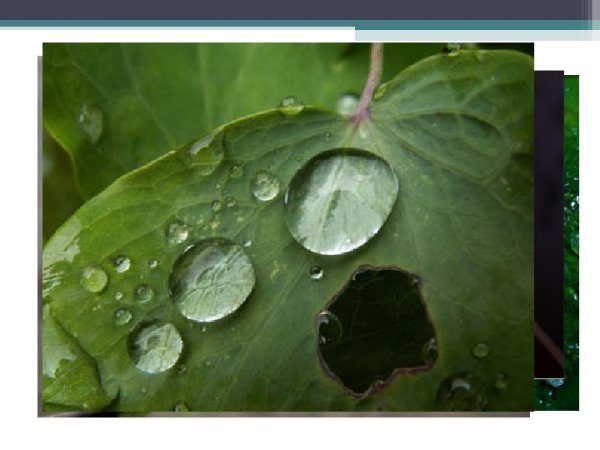 Кислотные дожди