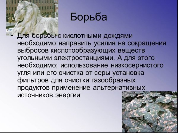 Методы борьбы с кислотными дождями