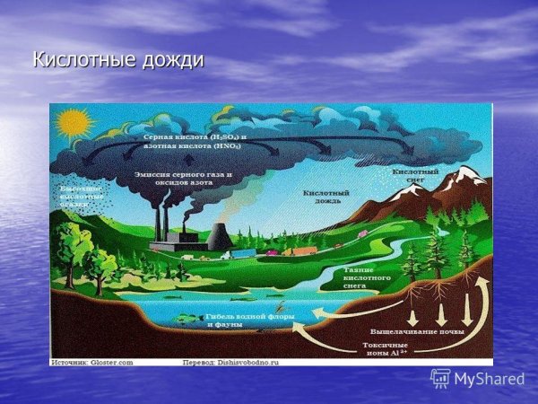 Круговорот кислотных дождей
