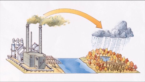 Кислотные дожди рисунок