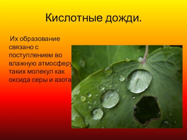 Кислотные дожди химия