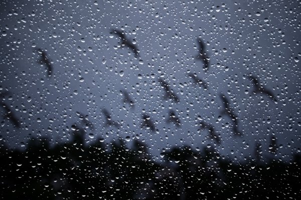 Дождь в окне