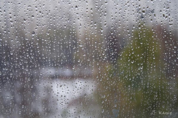 Изморось дождь