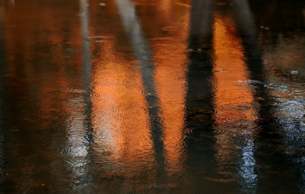 Дождливая осень