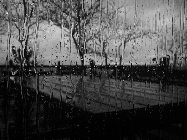 Черно белый дождь