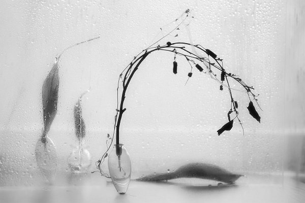 Черно белый дождь