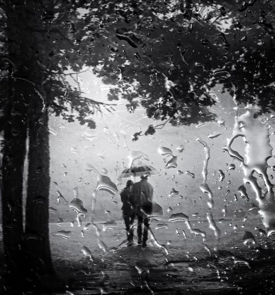 Осень дождь черно белое