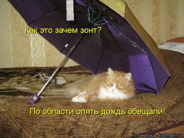 Опять дождь