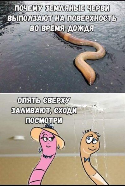 Опять дождь