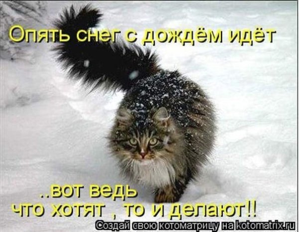 Дождь зимой приколы