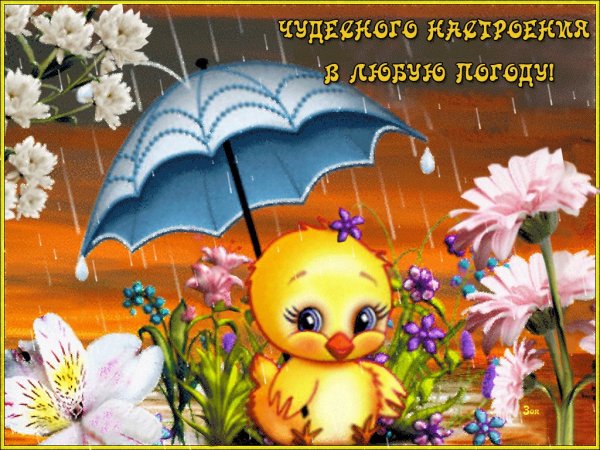 Хорошего настроения в любую погоду