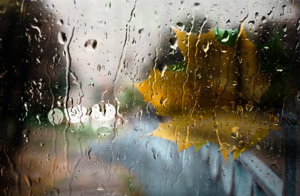 Дождливое настроение