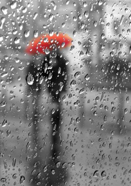 Дождь и слезы