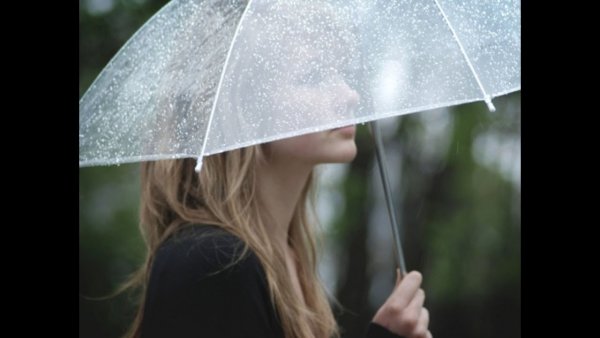 Под зонтом цитаты