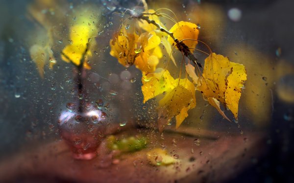 М. Легран " осенняя грусть"