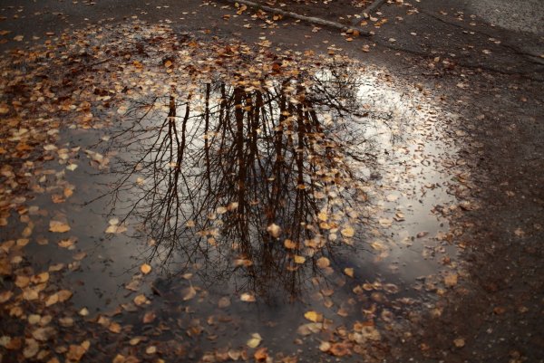 Осень дождь асфальт