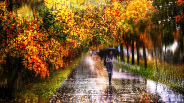 Осенний дождь фотографии