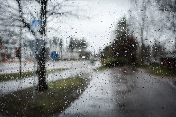 Пасмурно и дождливо
