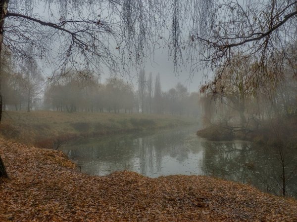 Поздняя осень дождь