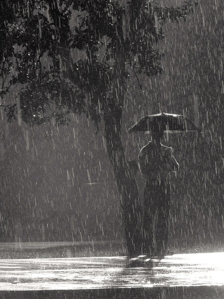 Одинокий под дождем