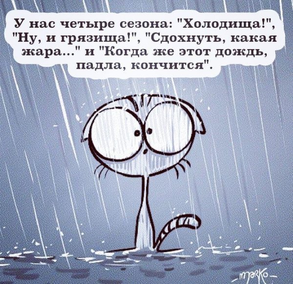 Дождь юмор